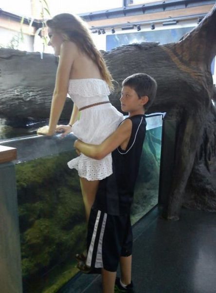 Daily Picdump