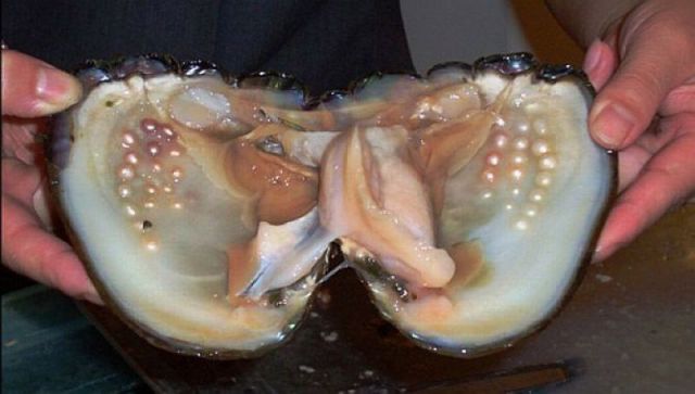 Daily Picdump