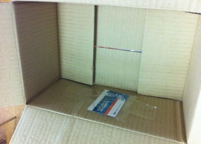 Morning Picdump