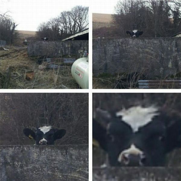 Morning Picdump
