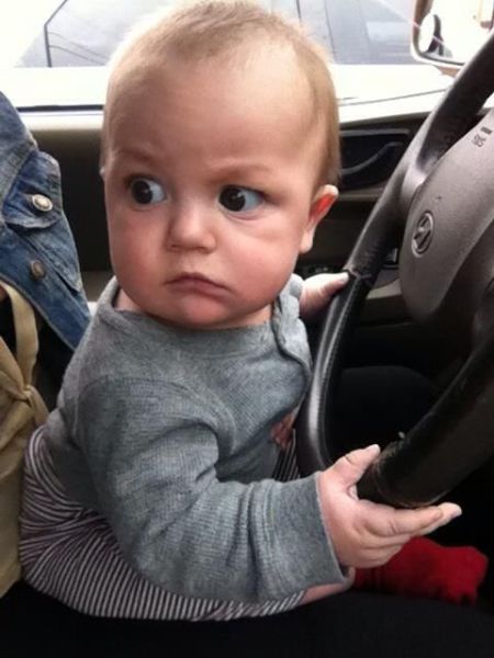 Morning Picdump