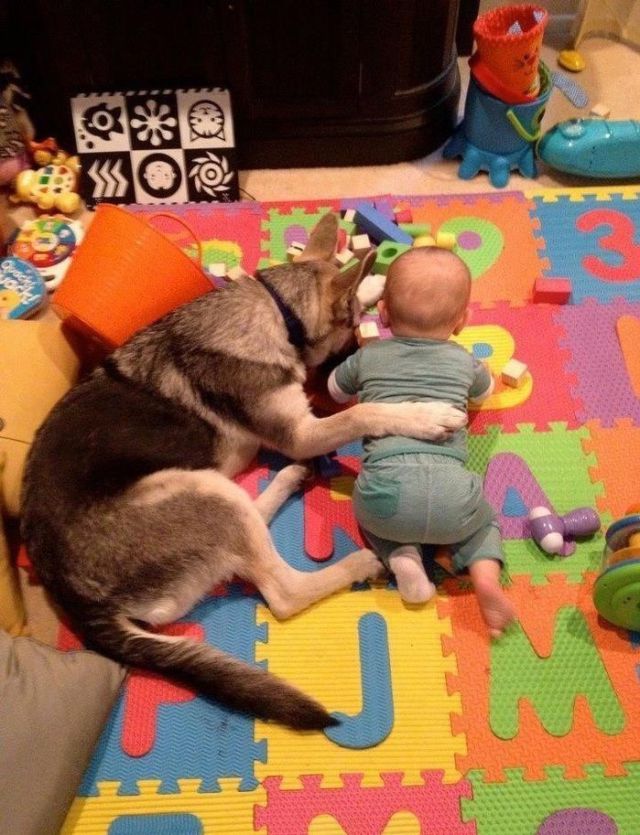 Morning Picdump