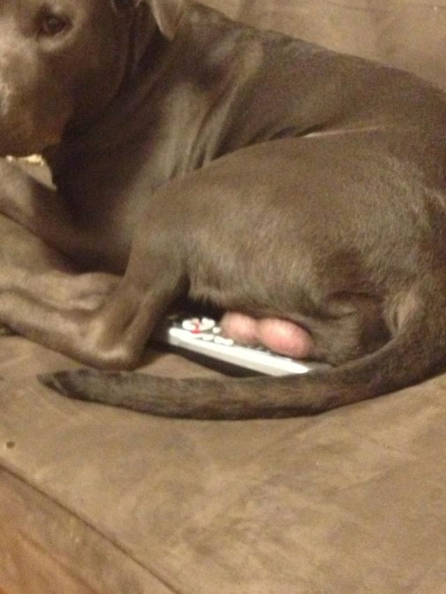 Morning Picdump