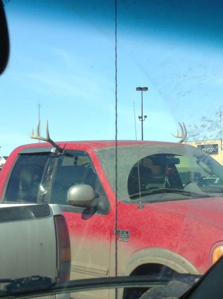 Morning Picdump