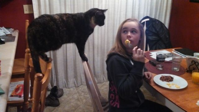 Daily Picdump