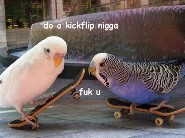 Daily Picdump