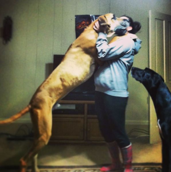 Daily Picdump