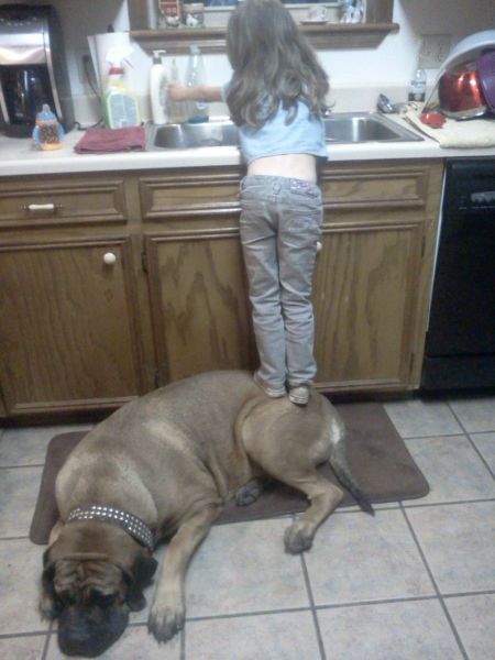 Daily Picdump