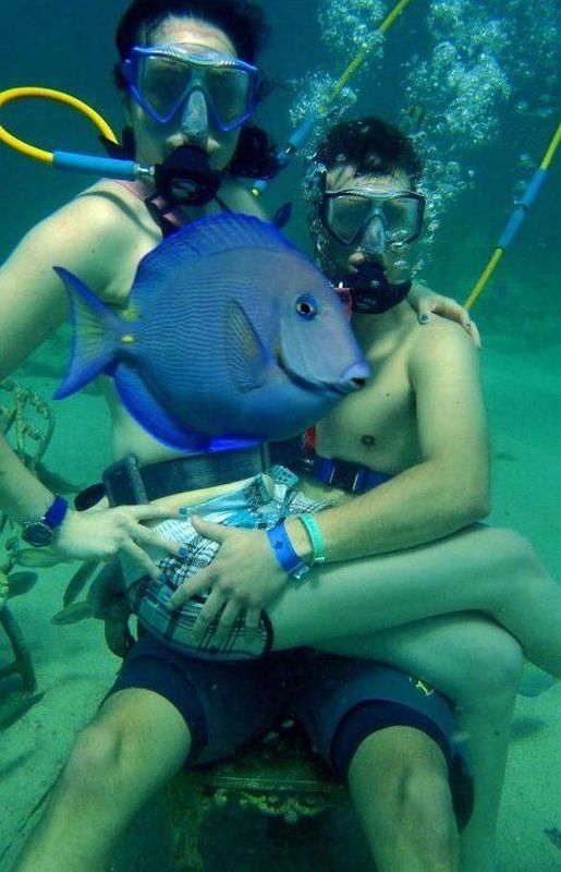 Daily Picdump