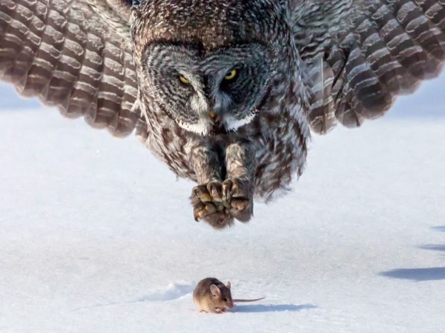 Morning Picdump