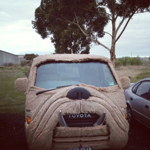 Morning Picdump