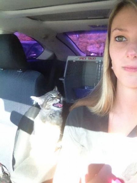 Morning Picdump