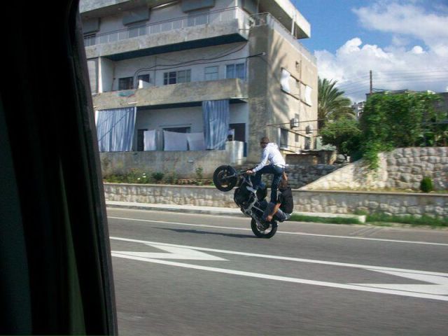 Morning Picdump