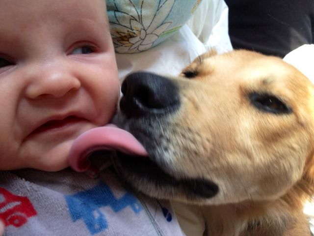 Morning Picdump