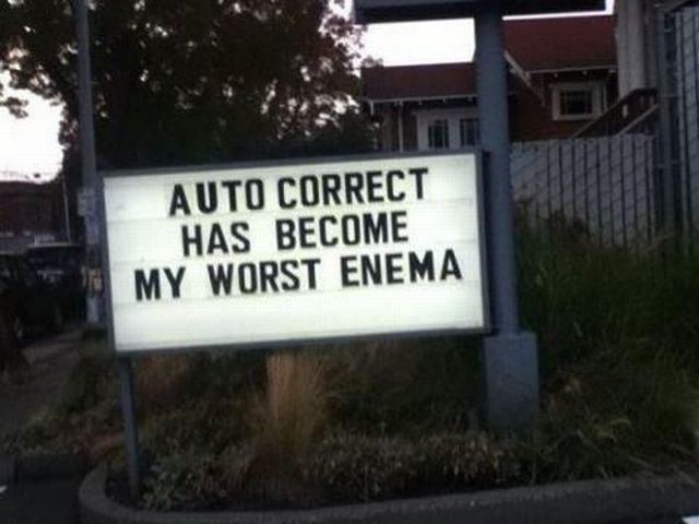 Morning Picdump