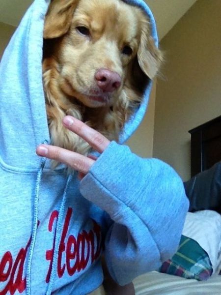 Morning Picdump