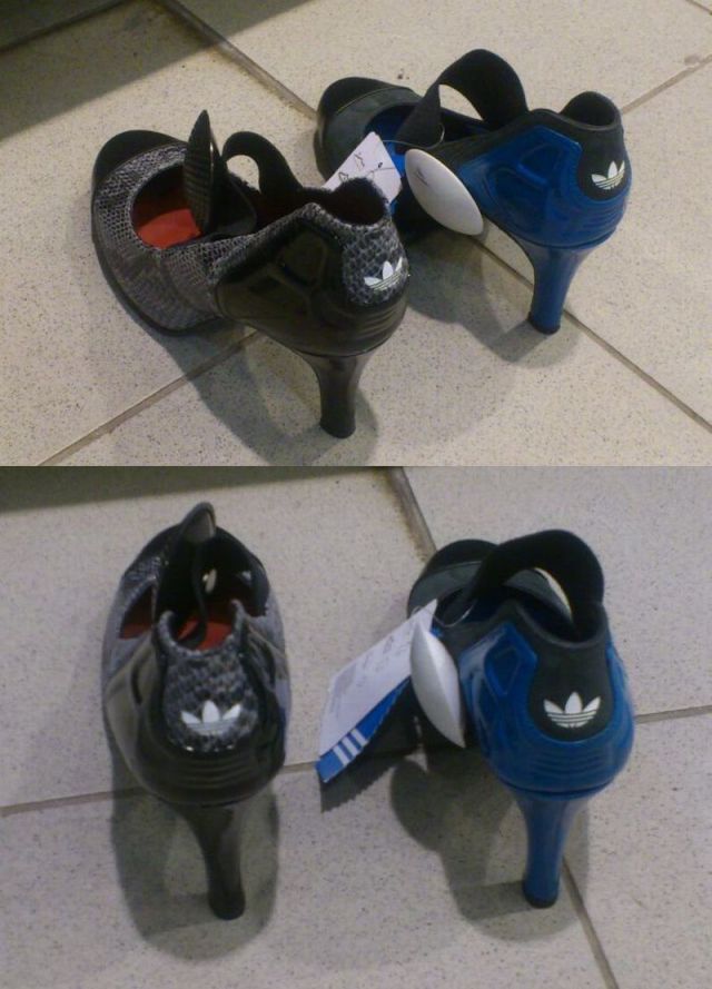 Morning Picdump