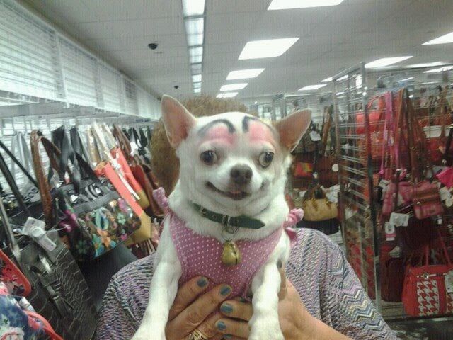 Daily Picdump