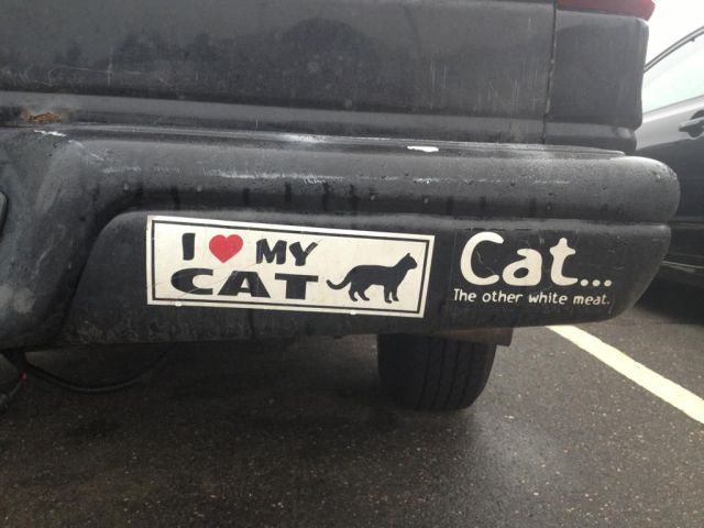 Daily Picdump