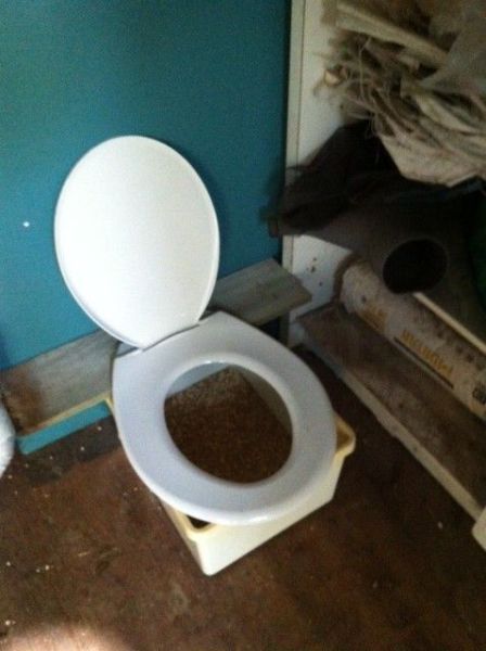 Daily Picdump