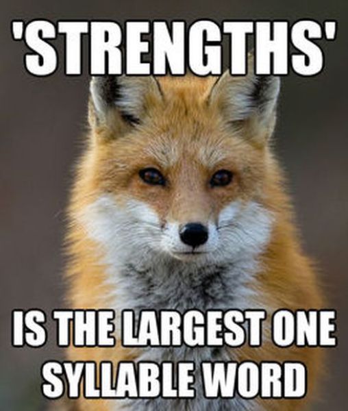 Get Your Fact Fix with This Great Fox Meme