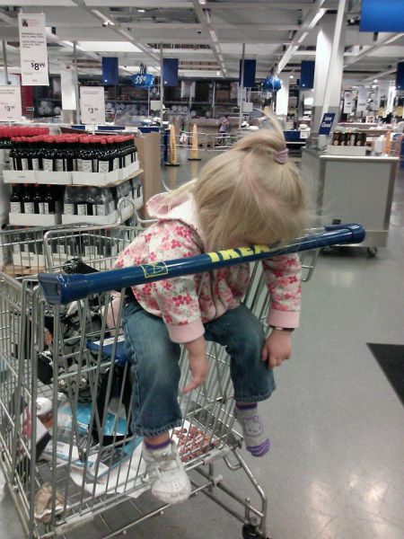 Morning Picdump