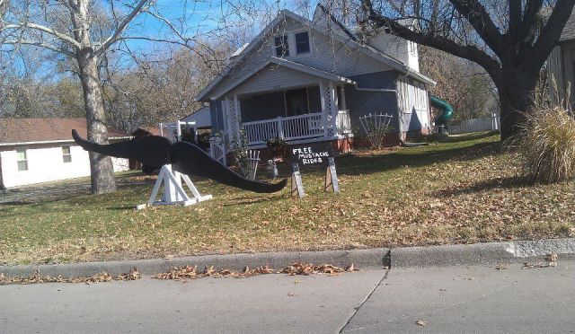 Morning Picdump