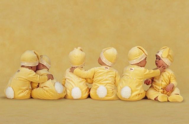 Morning Picdump