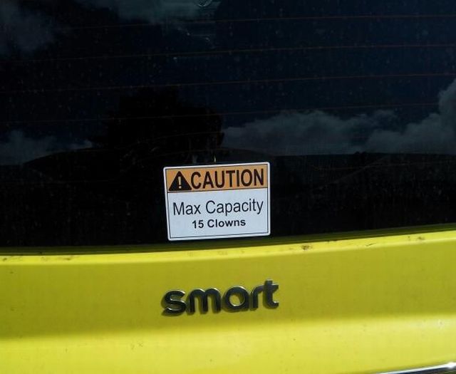 Morning Picdump