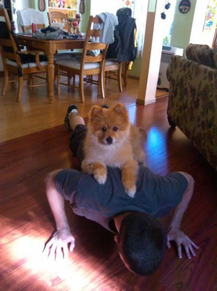 Morning Picdump