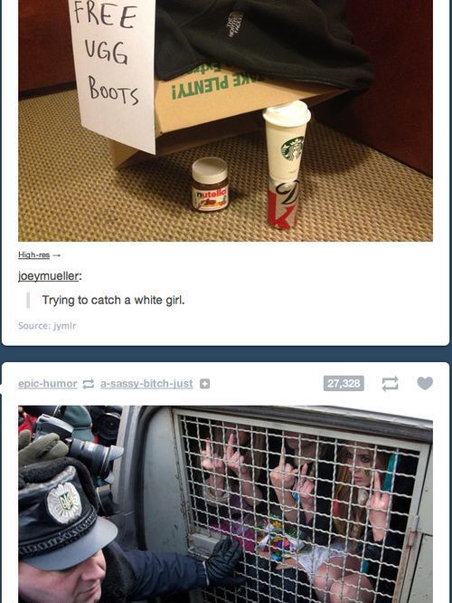 Morning Picdump