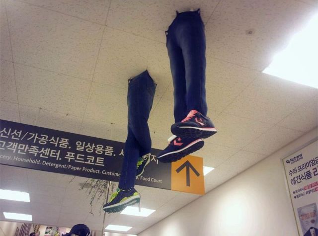 Daily Picdump