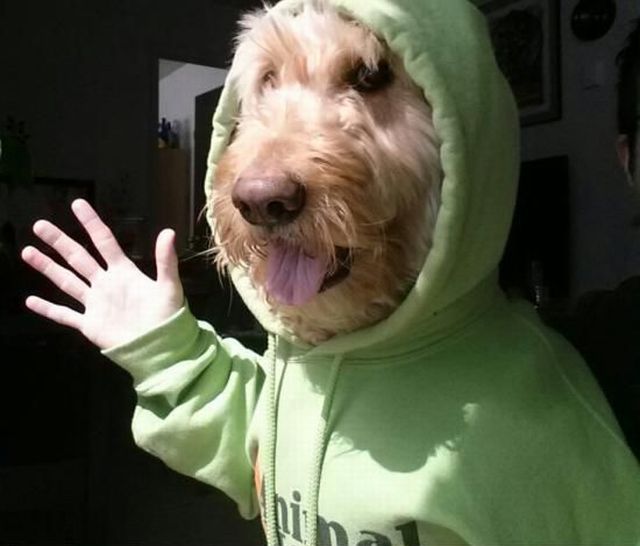 daily picdump 99 pics 33.html - 99 HD Photos | Premium Gallery 2013