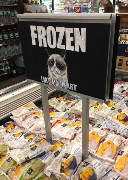 Daily Picdump