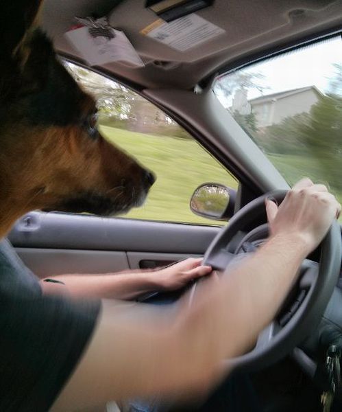 Daily Picdump