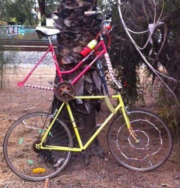 Daily Picdump