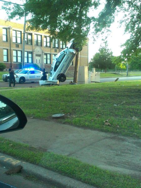 daily picdump 94 pics 38.html - 94 HD Photos | Premium Gallery 2013