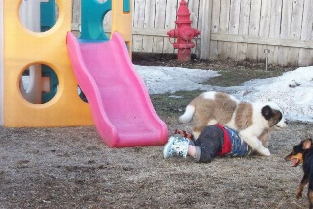 daily picdump 94 pics 38.html - 94 HD Photos | Premium Gallery 2013