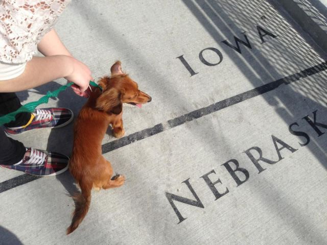 daily picdump 94 pics 38.html - 94 HD Photos | Premium Gallery 2013