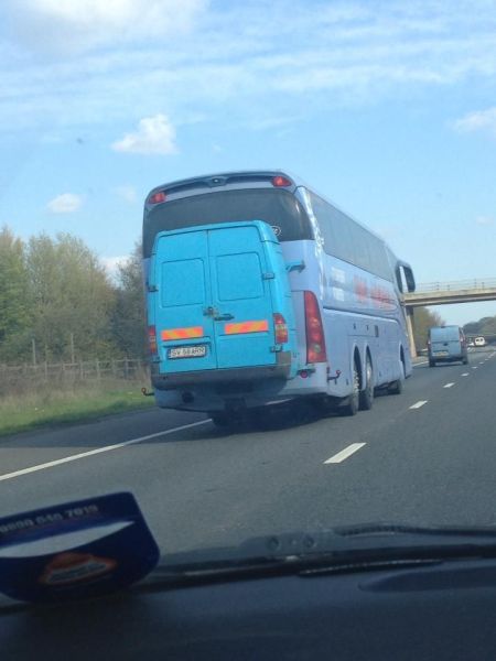 Morning Picdump