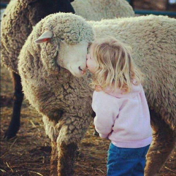 morning picdump 63 pics 12.html - 63 HD Photos | Premium Gallery 2013