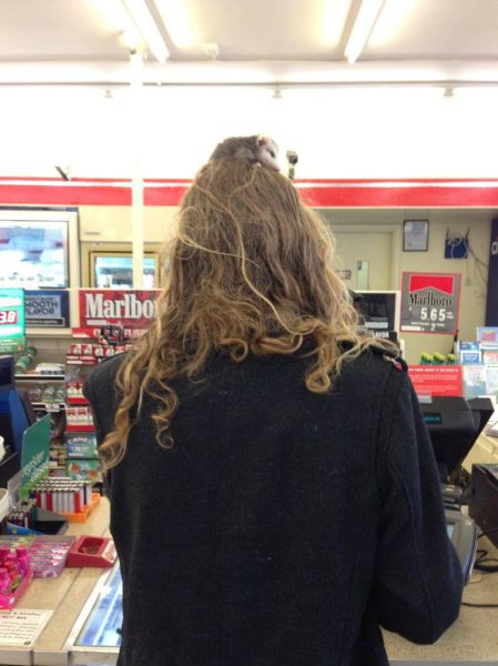 morning picdump 63 pics 12.html - 63 HD Photos | Premium Gallery 2013