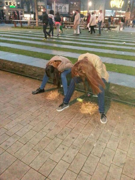 Morning Picdump