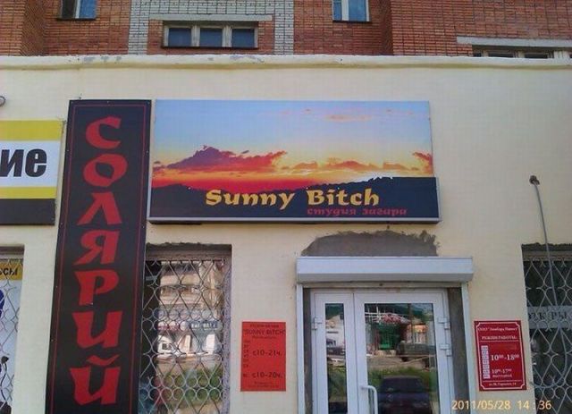 Morning Picdump