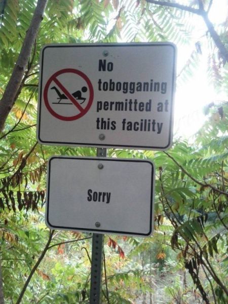morning picdump 53 pics 3.html - 53 HD Photos | Premium Gallery 2013