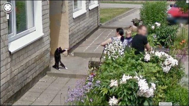 Morning Picdump