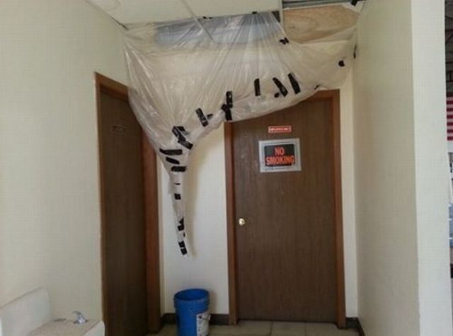 morning picdump 56 pics 4.html - 56 HD Photos | Premium Gallery 2013