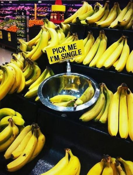 morning picdump 56 pics 4.html - 56 HD Photos | Premium Gallery 2013