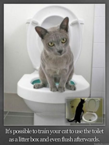 morning picdump 56 pics 4.html - 56 HD Photos | Premium Gallery 2013