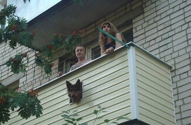 morning picdump 56 pics 4.html - 56 HD Photos | Premium Gallery 2013